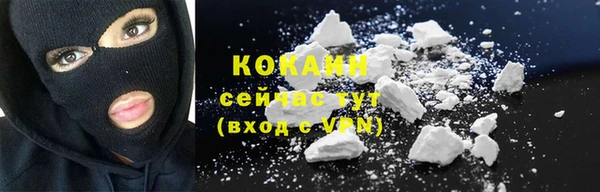 метадон Богданович