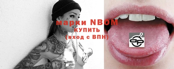 метадон Богданович