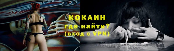 метадон Богданович